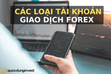 Các loại tài khoản giao dịch forex. Trader mới nên lựa chọn loại tài khoản nào?