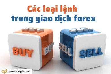 Tổng hợp các lệnh trong forex trader bắt buộc phải biết