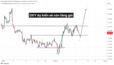 Nhận định DXY trước dữ liệu CPI của Hoa Kỳ